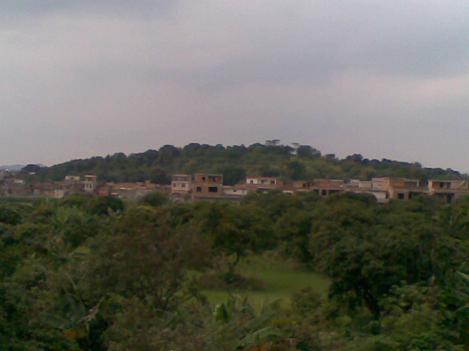 祠堂后龙山.jpg