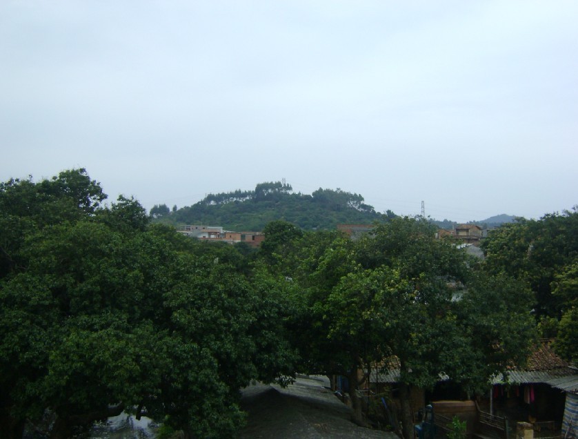 祠堂后龙山.jpg