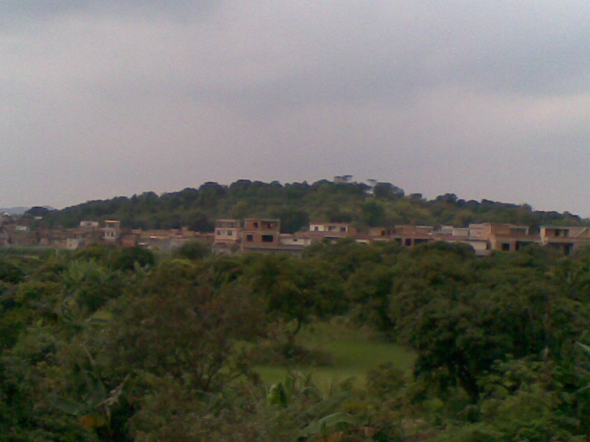 祠堂后龙山.jpg