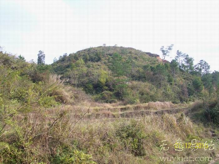 相台近案4.jpg