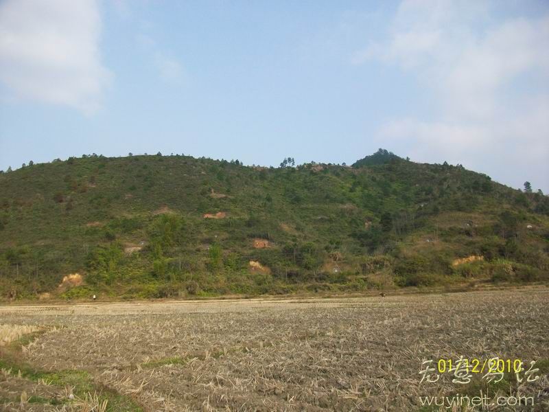 相台近案2.jpg