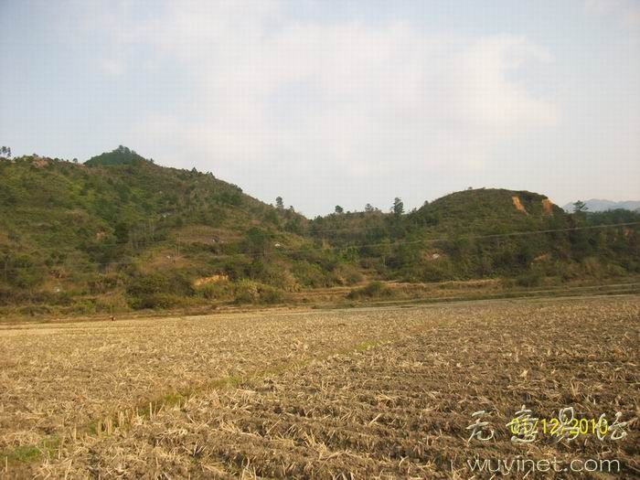 相台近案3.jpg