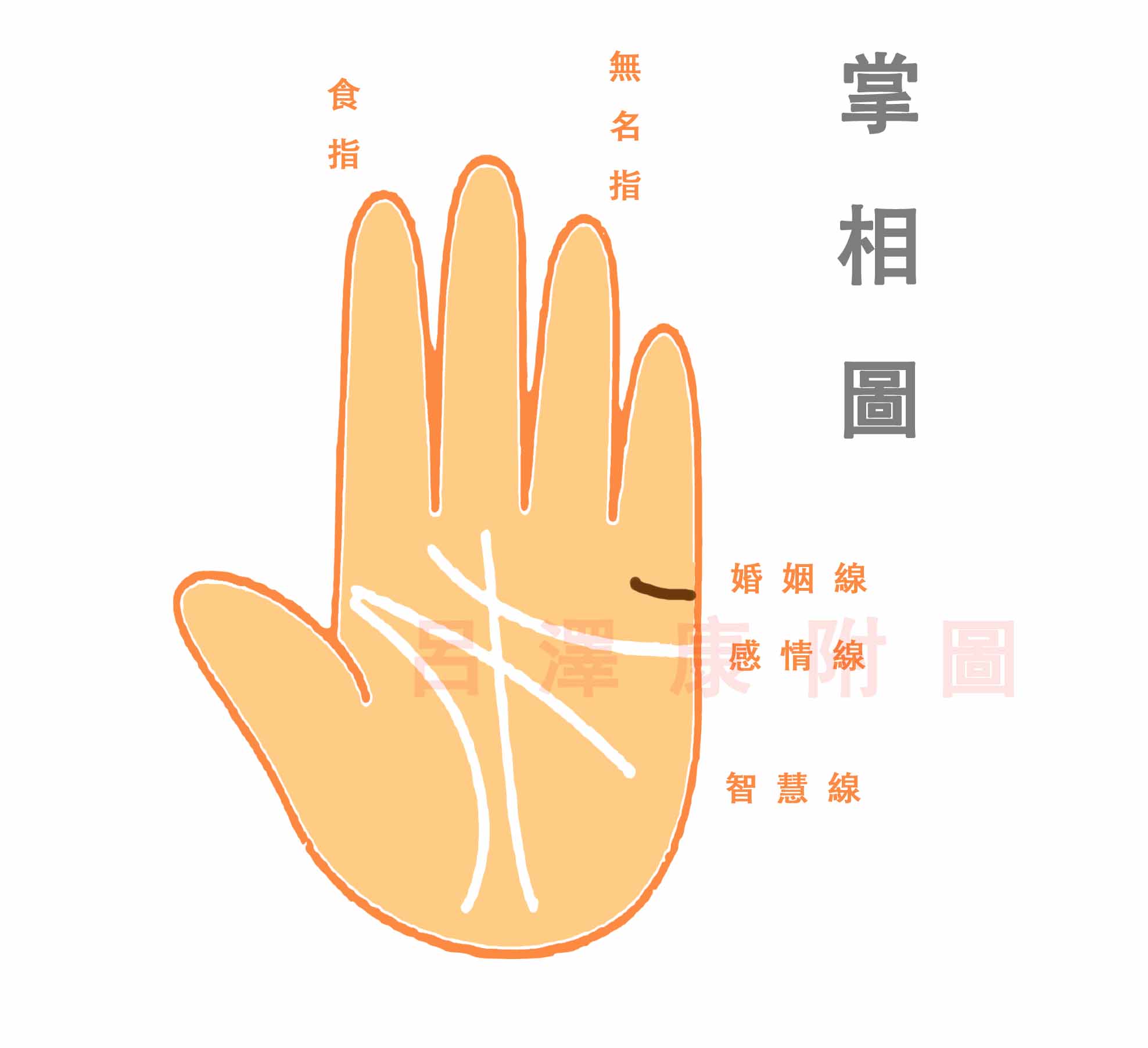 掌相圖.jpg