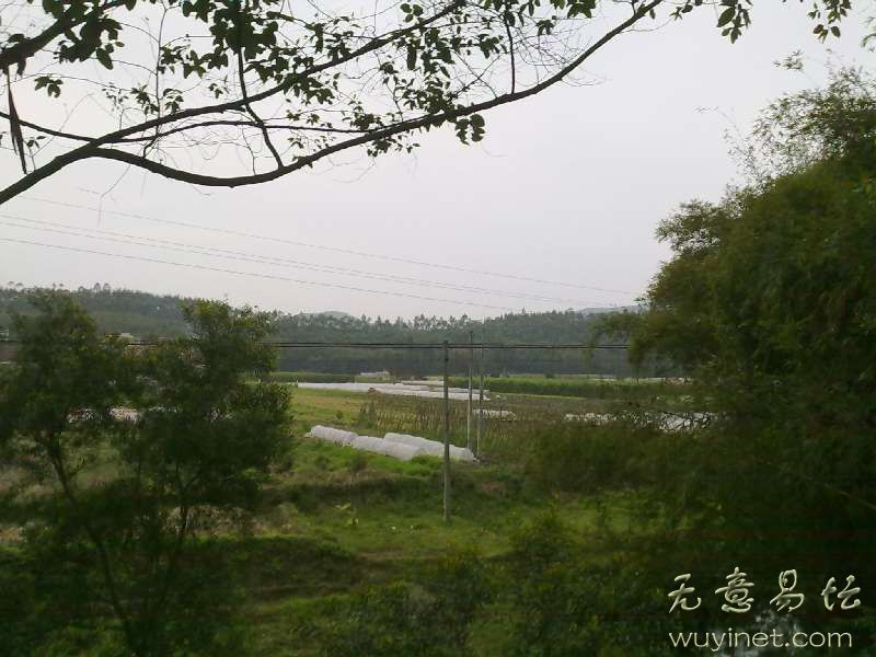 朝案.jpg