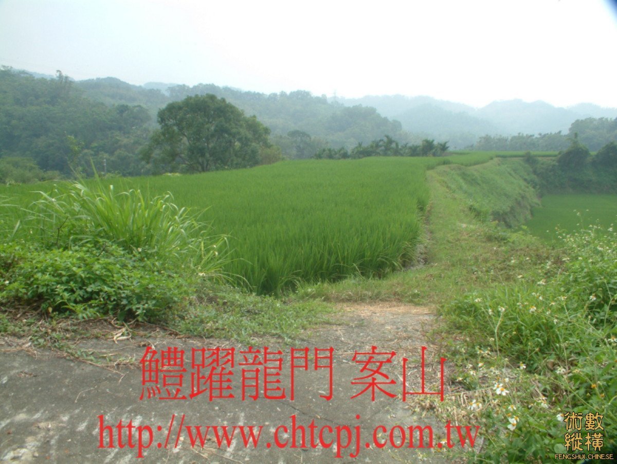 鱧躍龍門穴