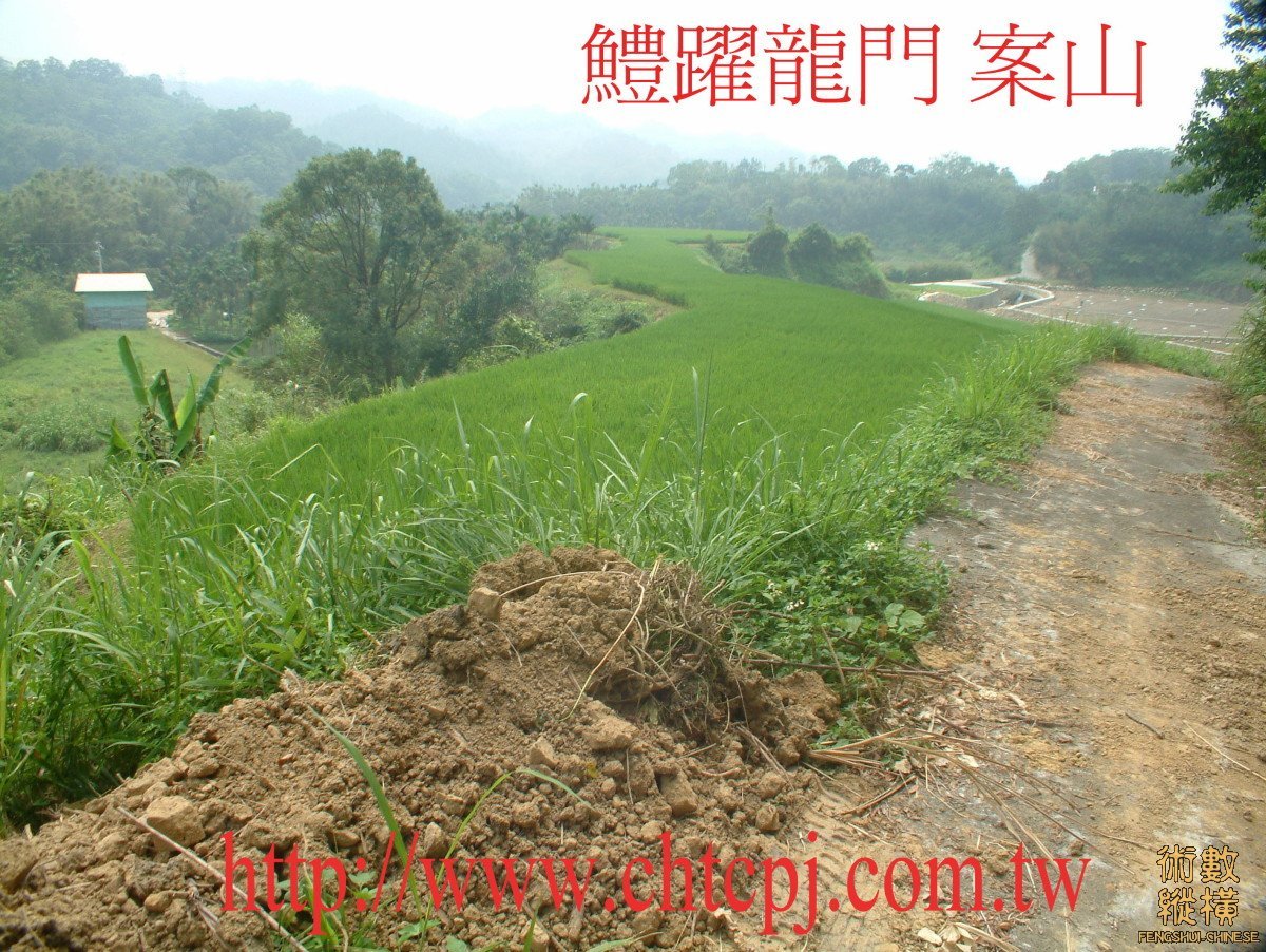 鱧躍龍門穴