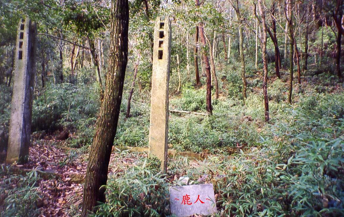 111(A)_11.jpg