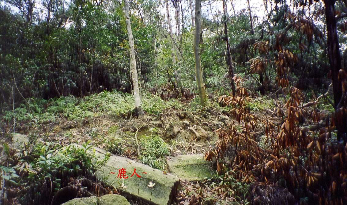 111(A)_12.jpg