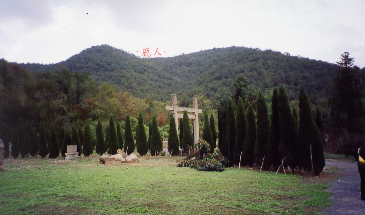 111(A)_3.jpg