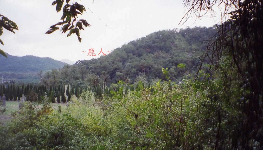 111(A)_5.jpg