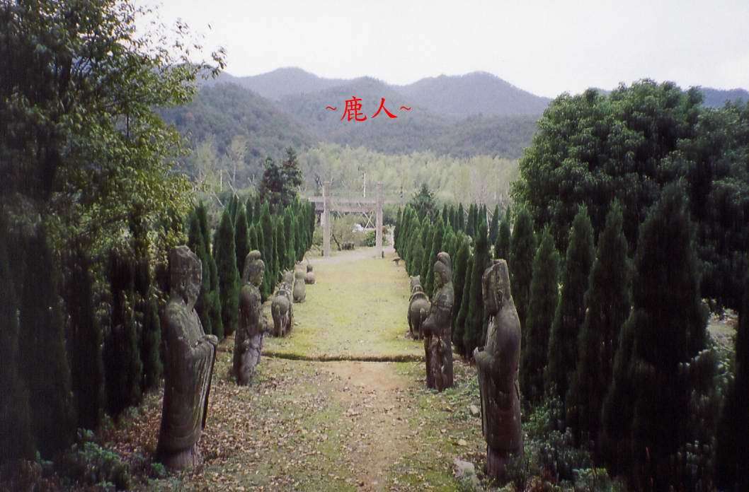 111(A)_9.jpg
