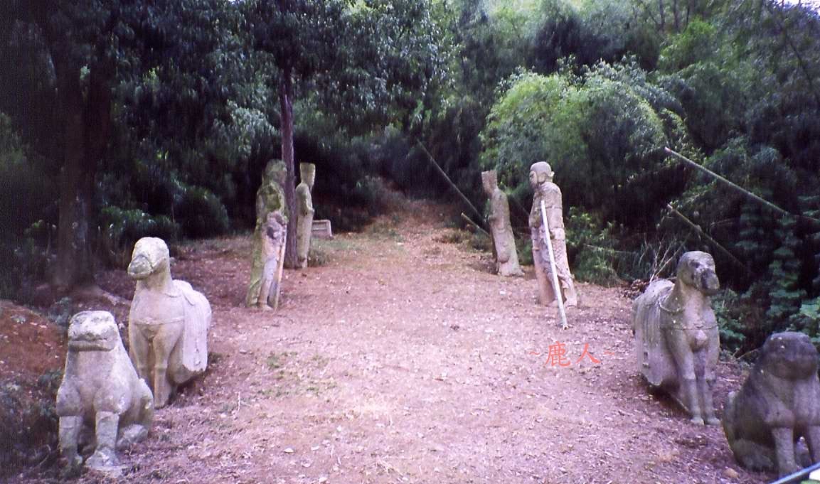 111(C)_4.jpg