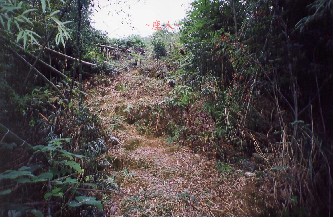 111(C)_5.jpg
