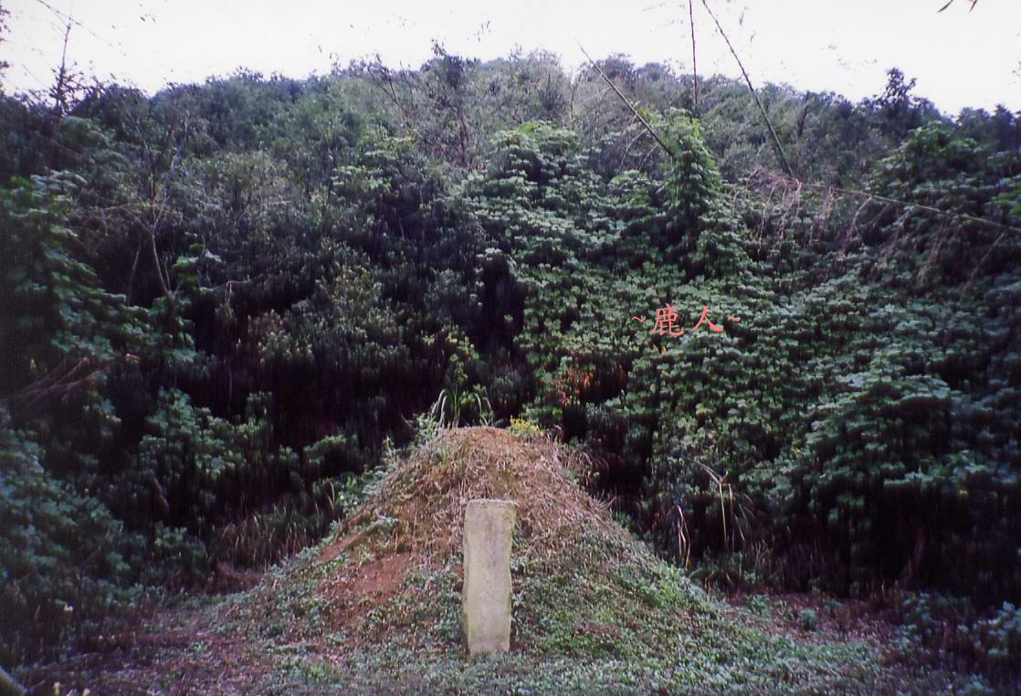 111(C)_7.jpg