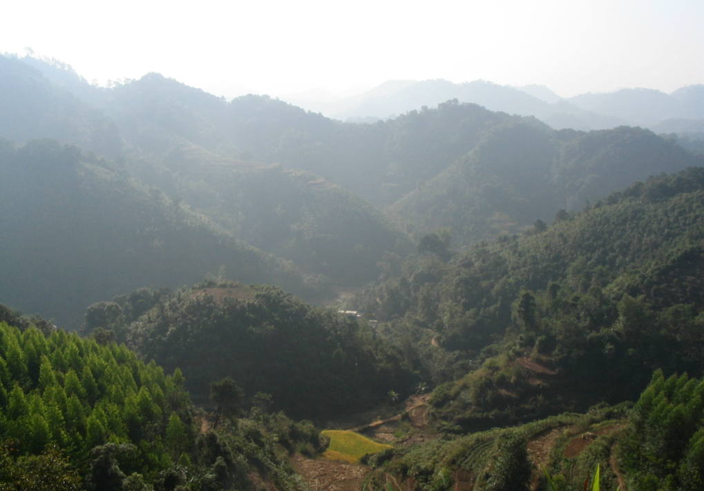 9LcI_Img_0539.jpg