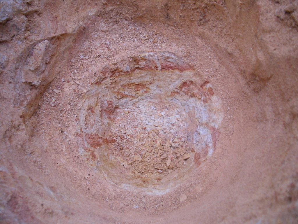 CIMG0516.JPG