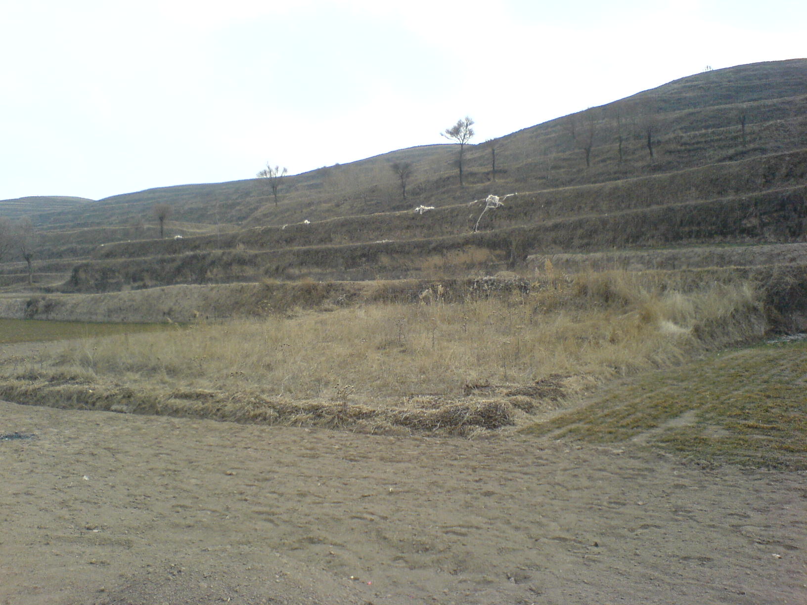 DSC00504.JPG