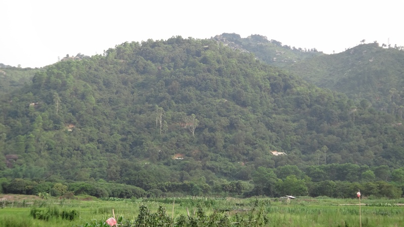DSC00585.JPG
