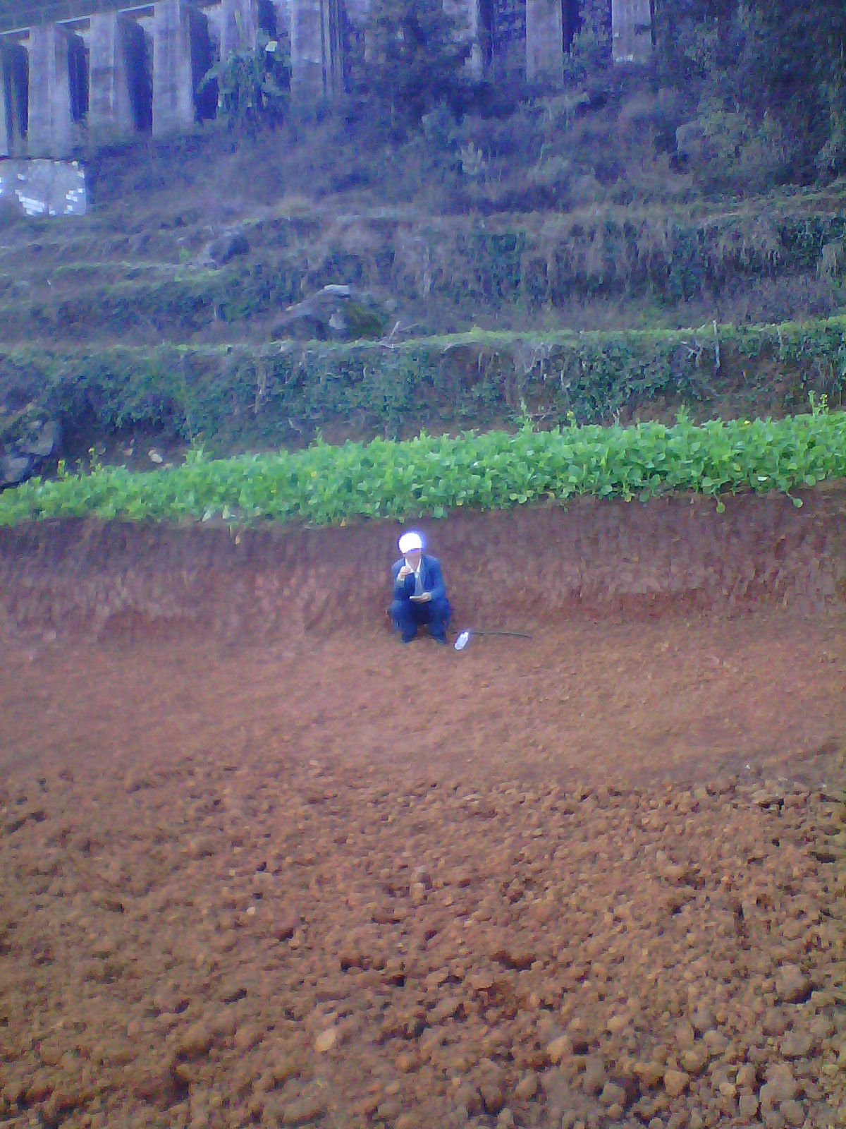 IMG03302.jpg