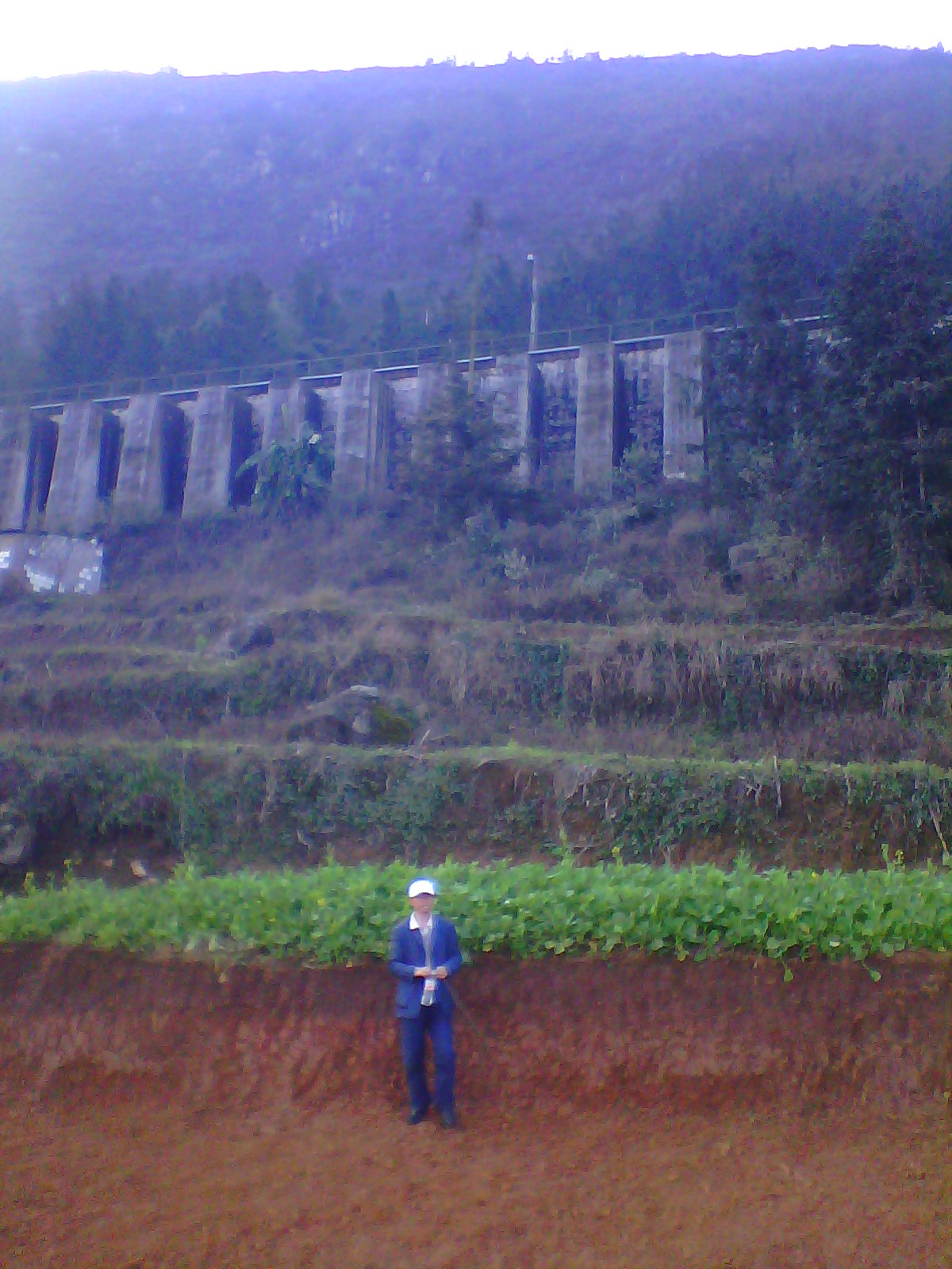 IMG03304.jpg