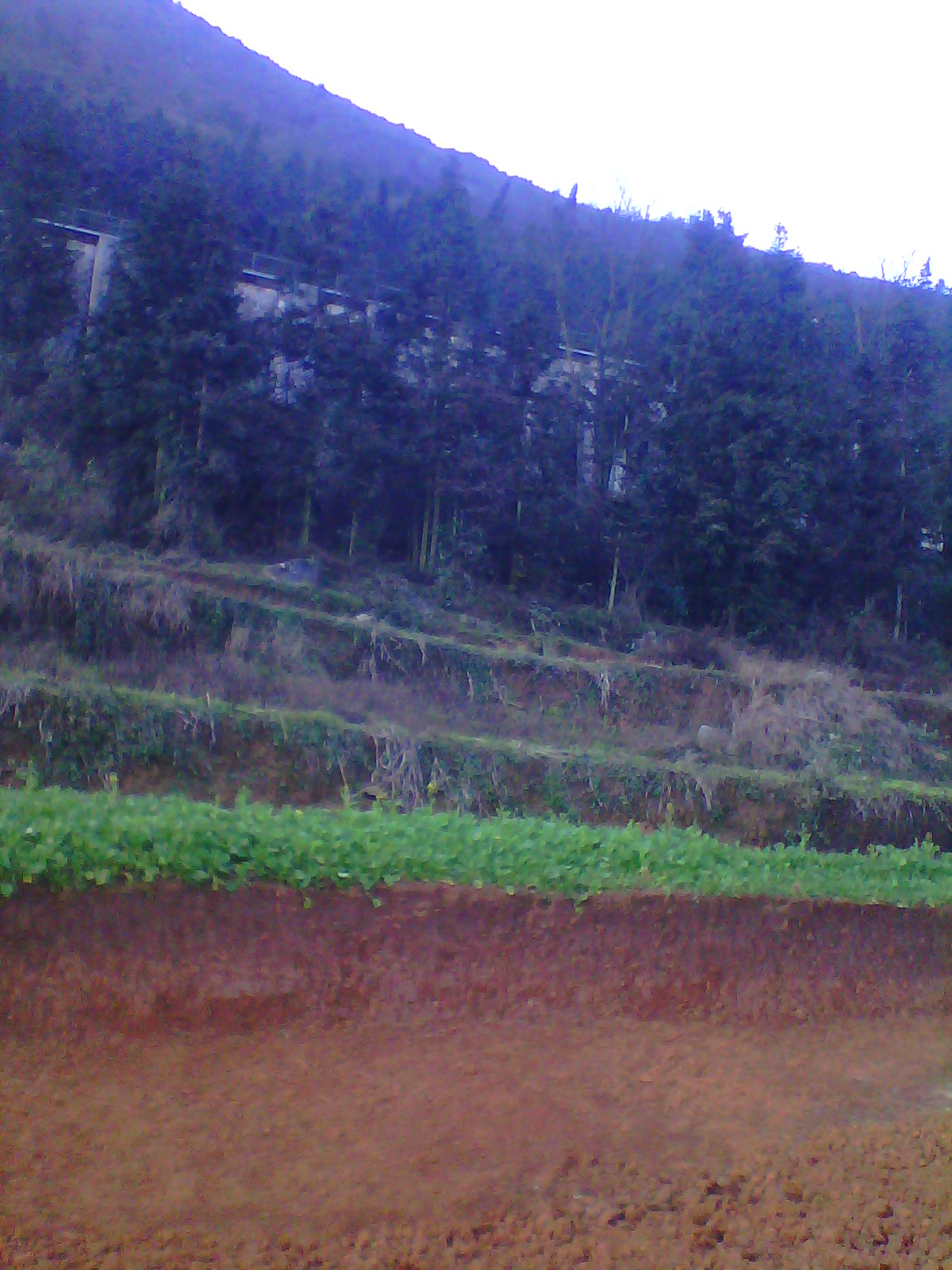 IMG03345.jpg