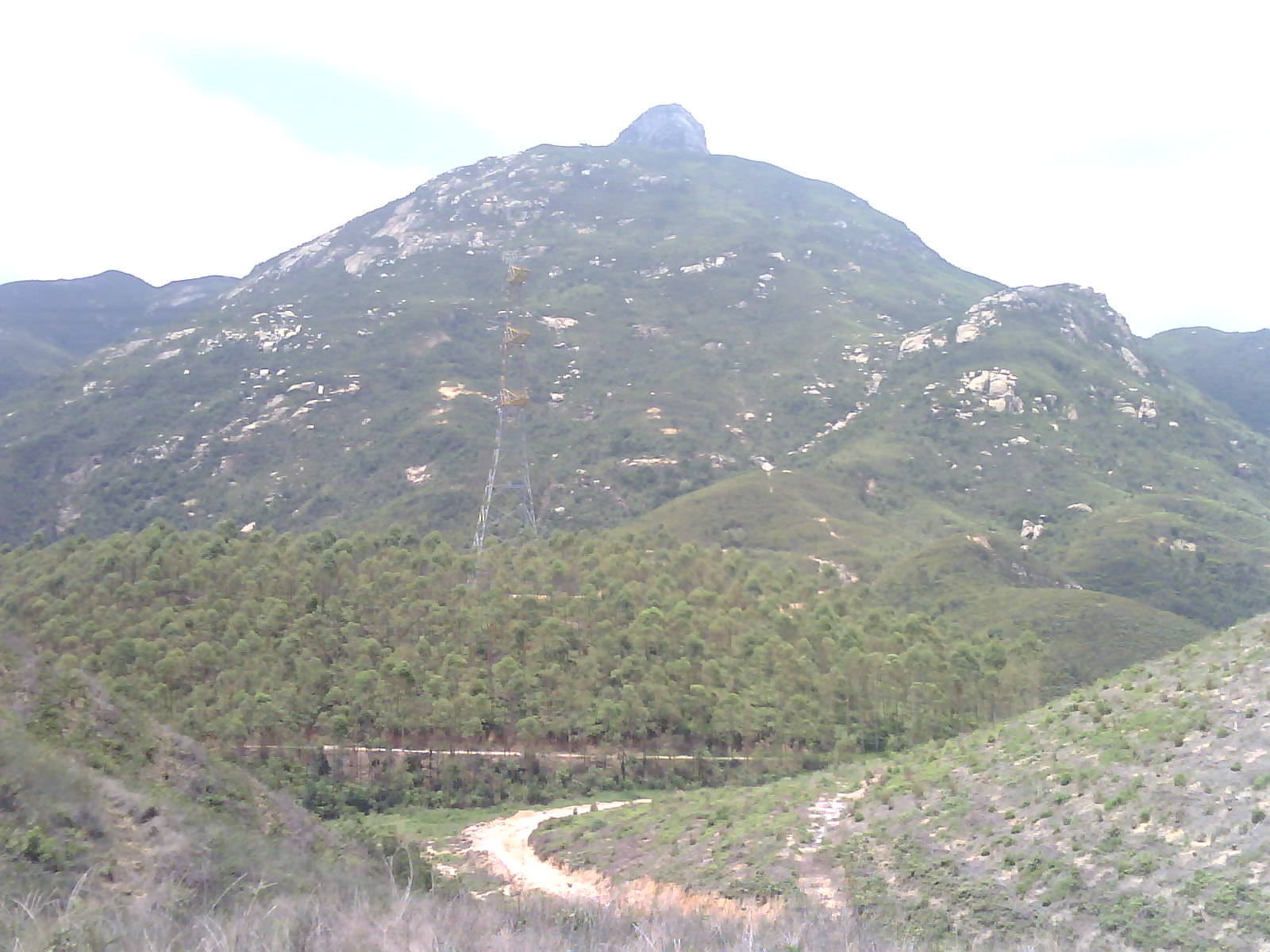 IMG0353A.jpg