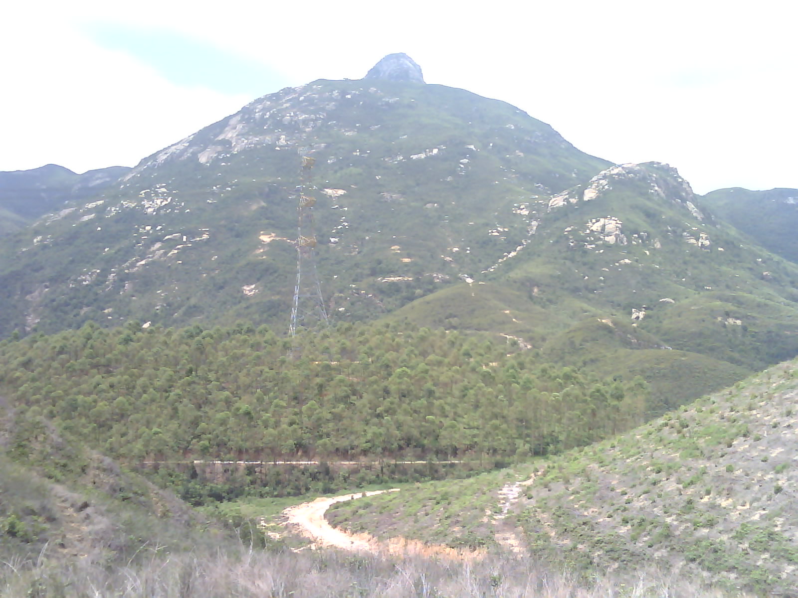 IMG0354A.jpg
