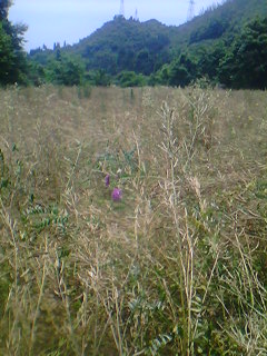 IMG06105.jpg