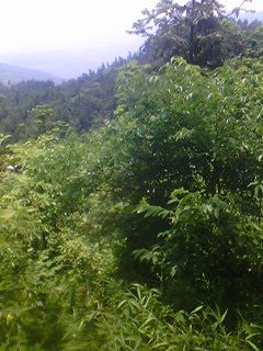 IMG06119.jpg