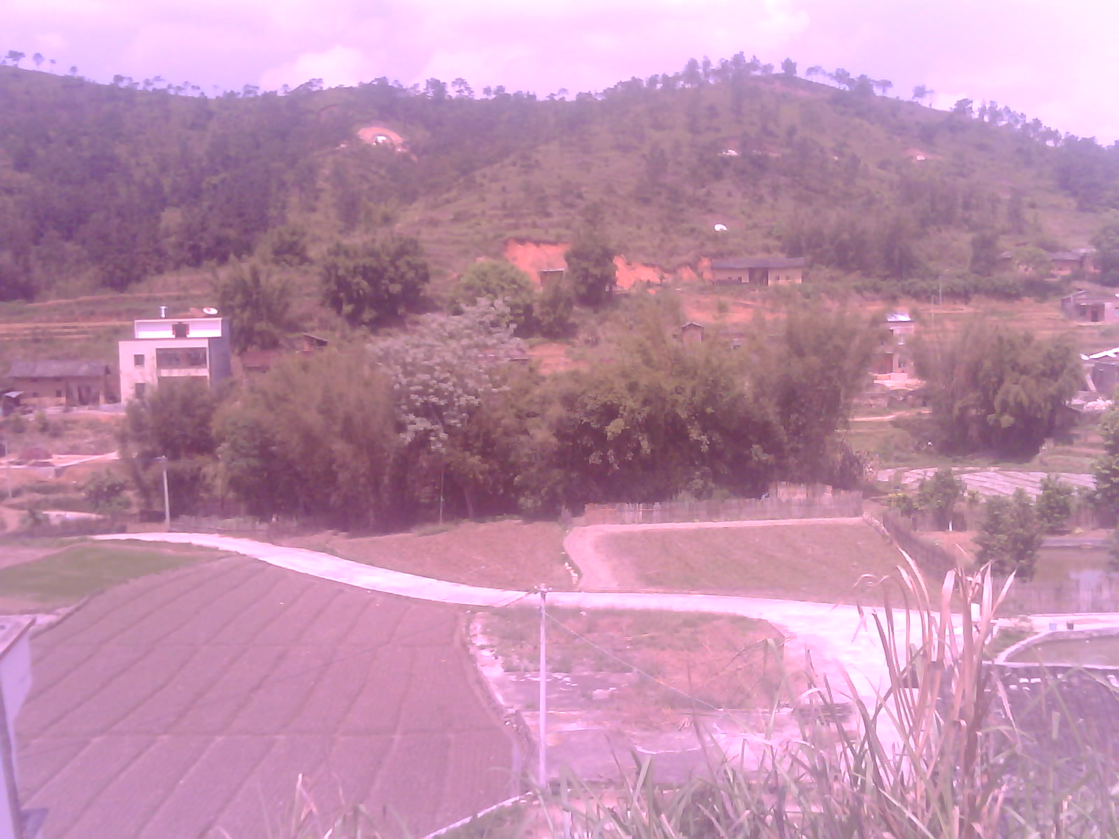 IMG4032A.jpg