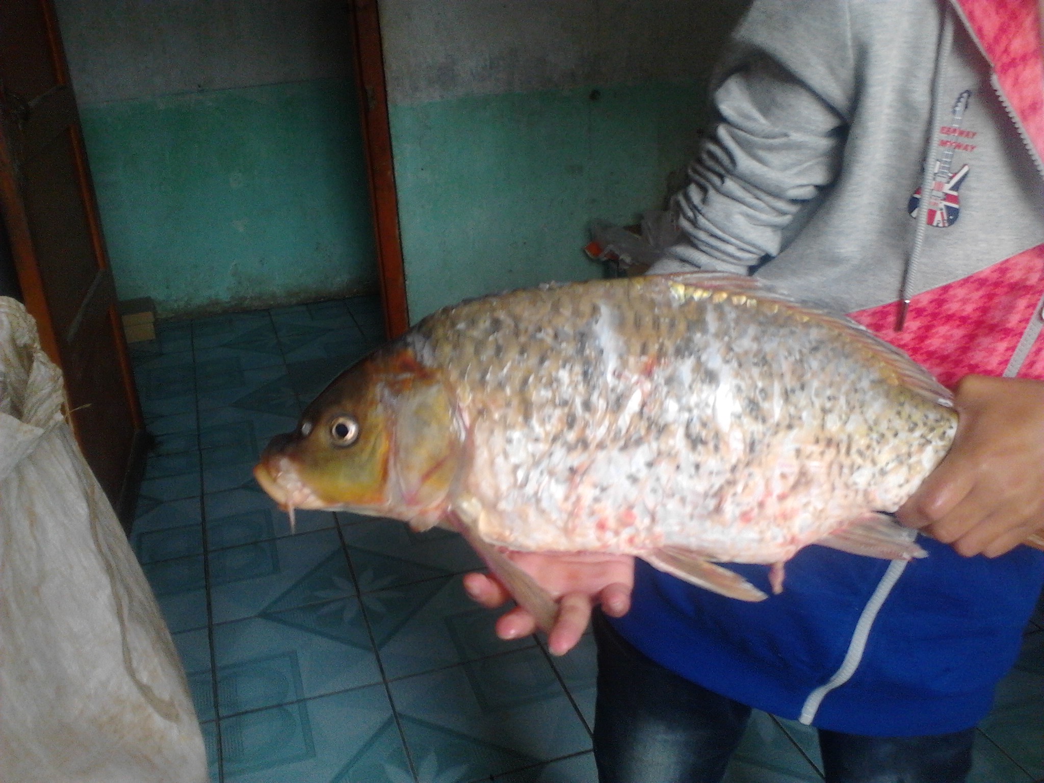 IMG_20121002_164539.jpg