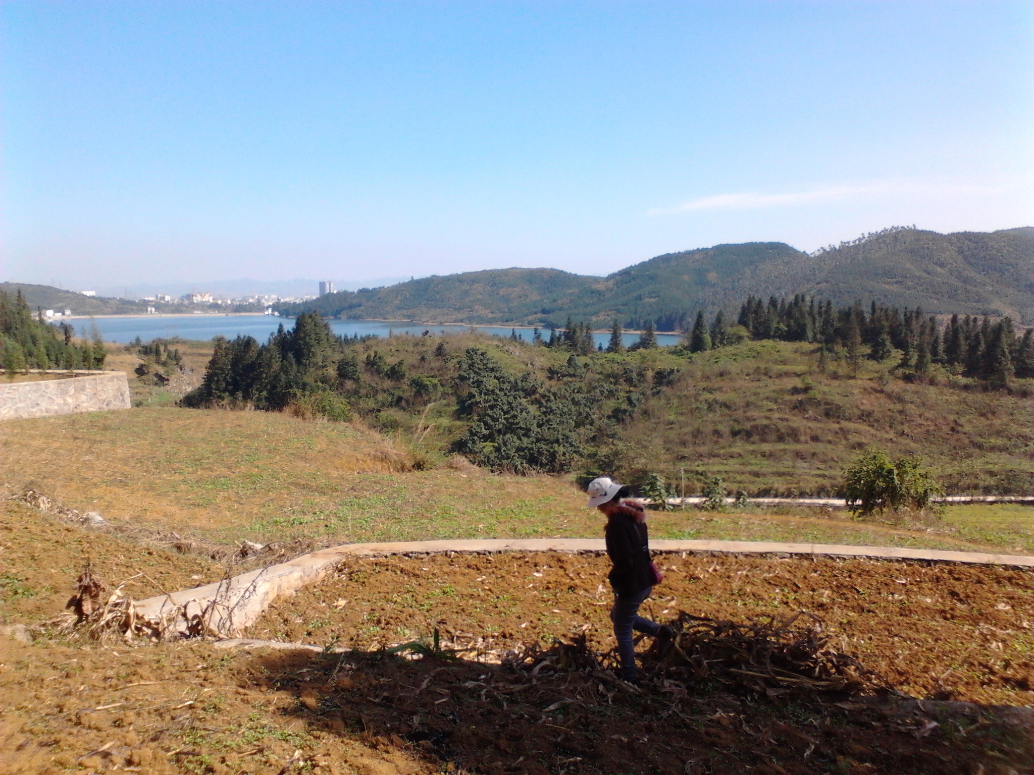 IMG_20121117_131545.jpg