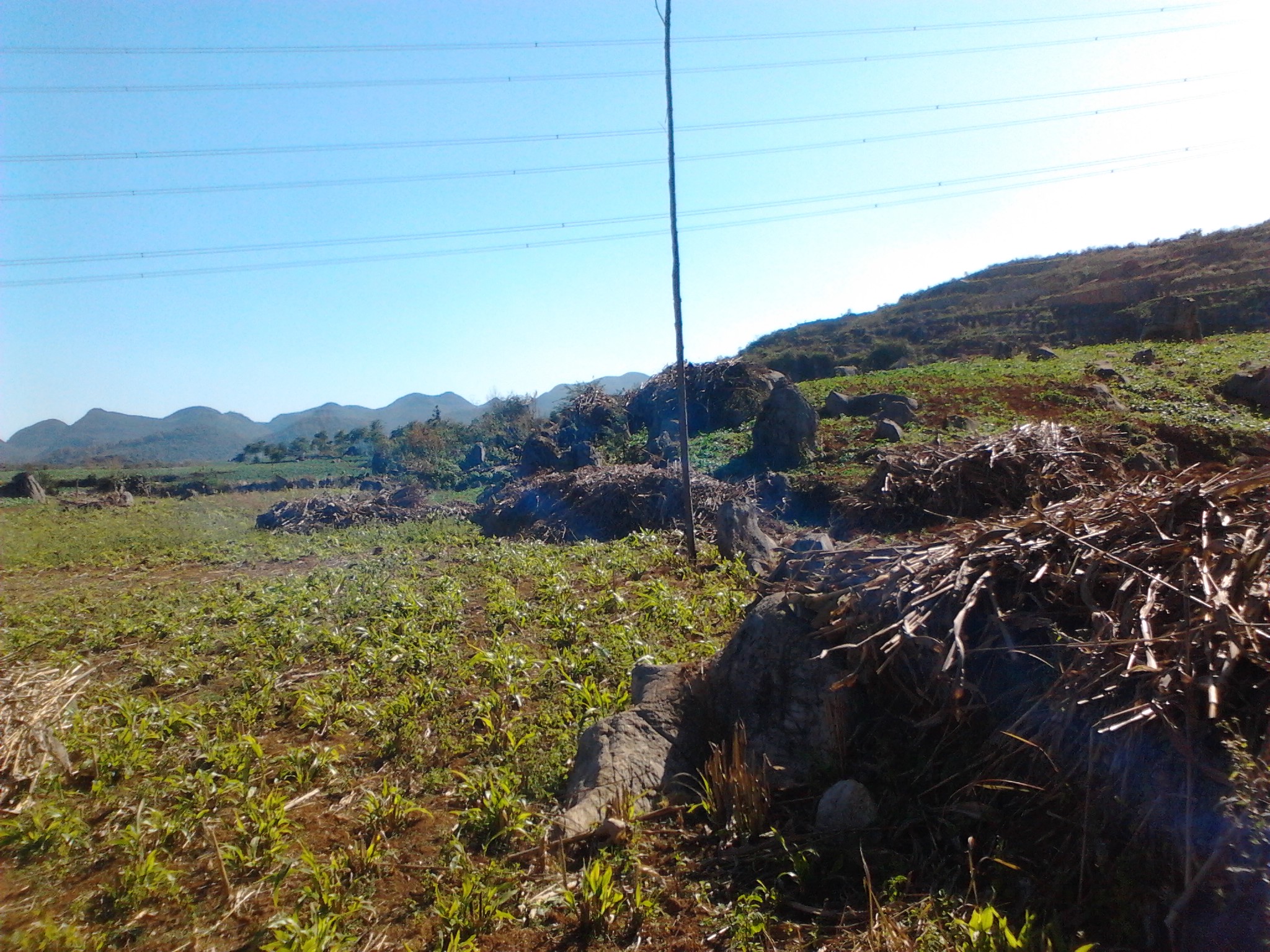 IMG_20121215_142618.jpg