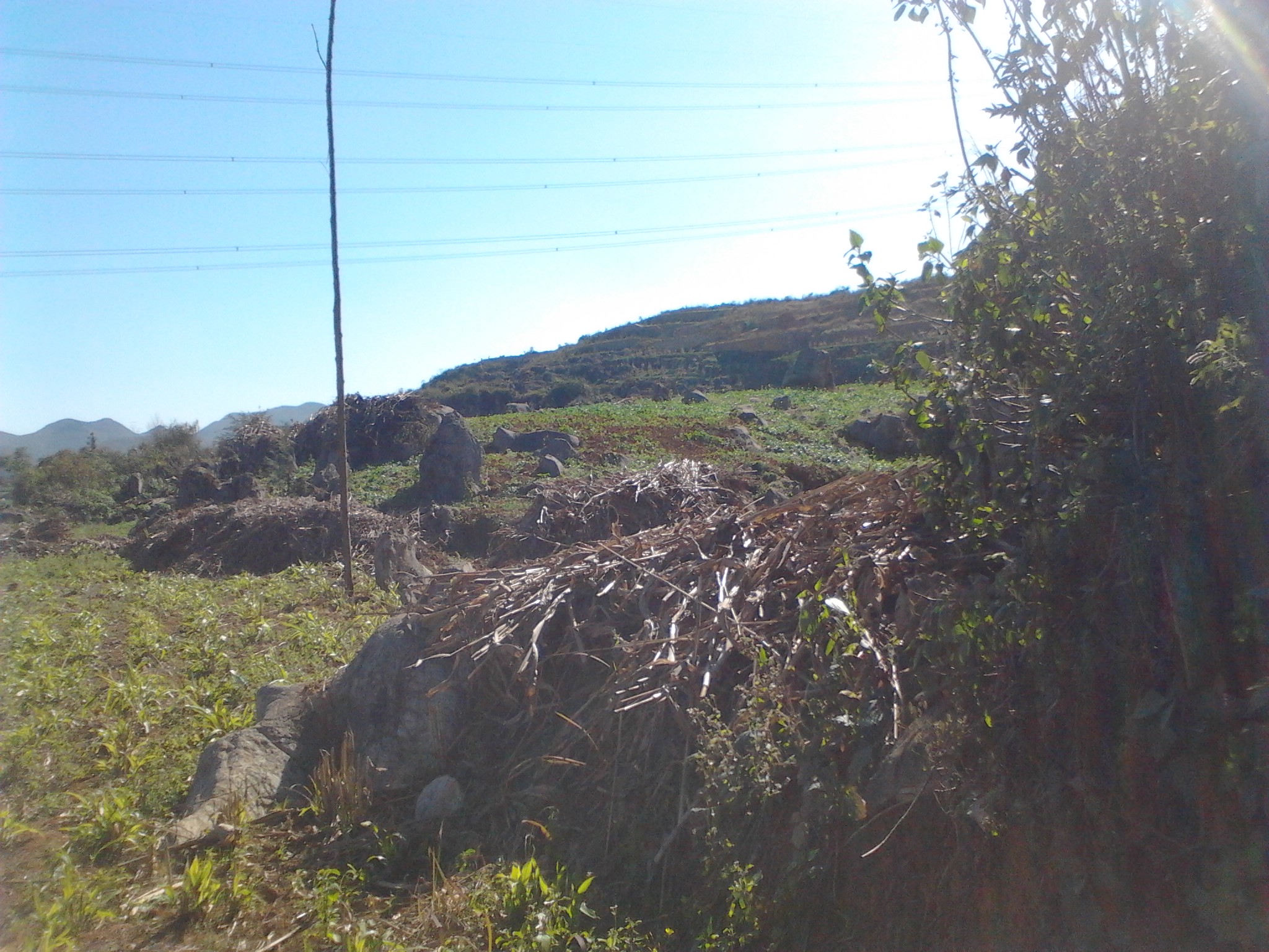 IMG_20121215_142626.jpg