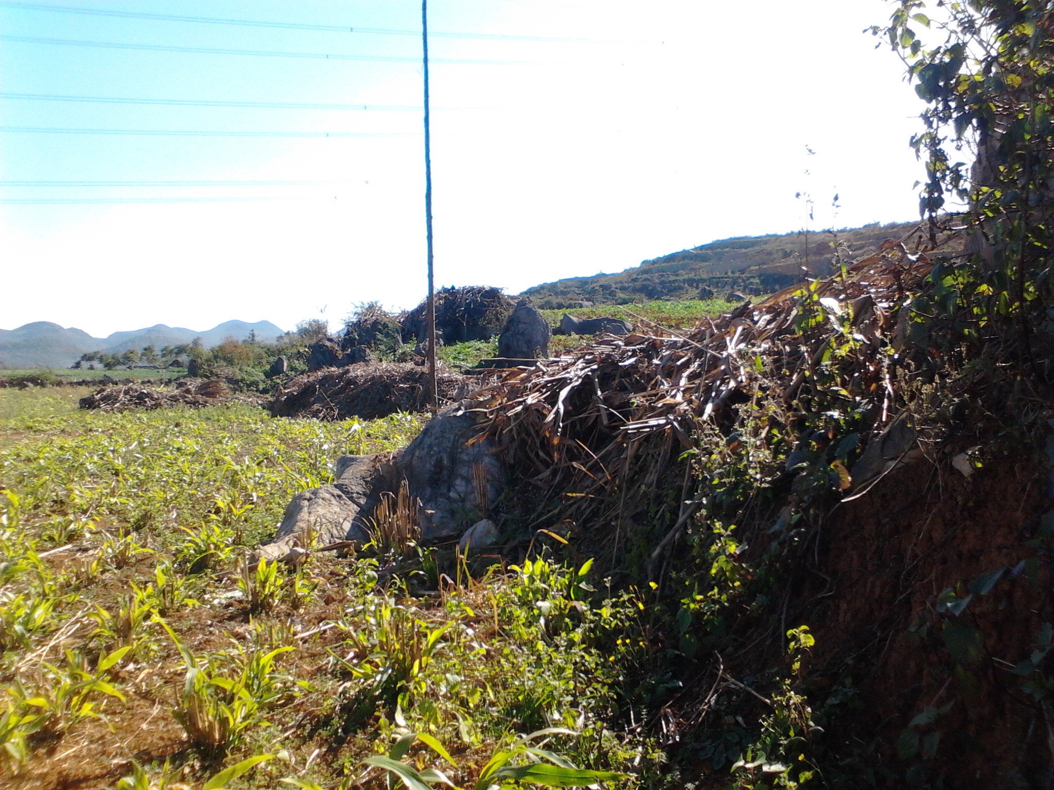 IMG_20121215_142705.jpg