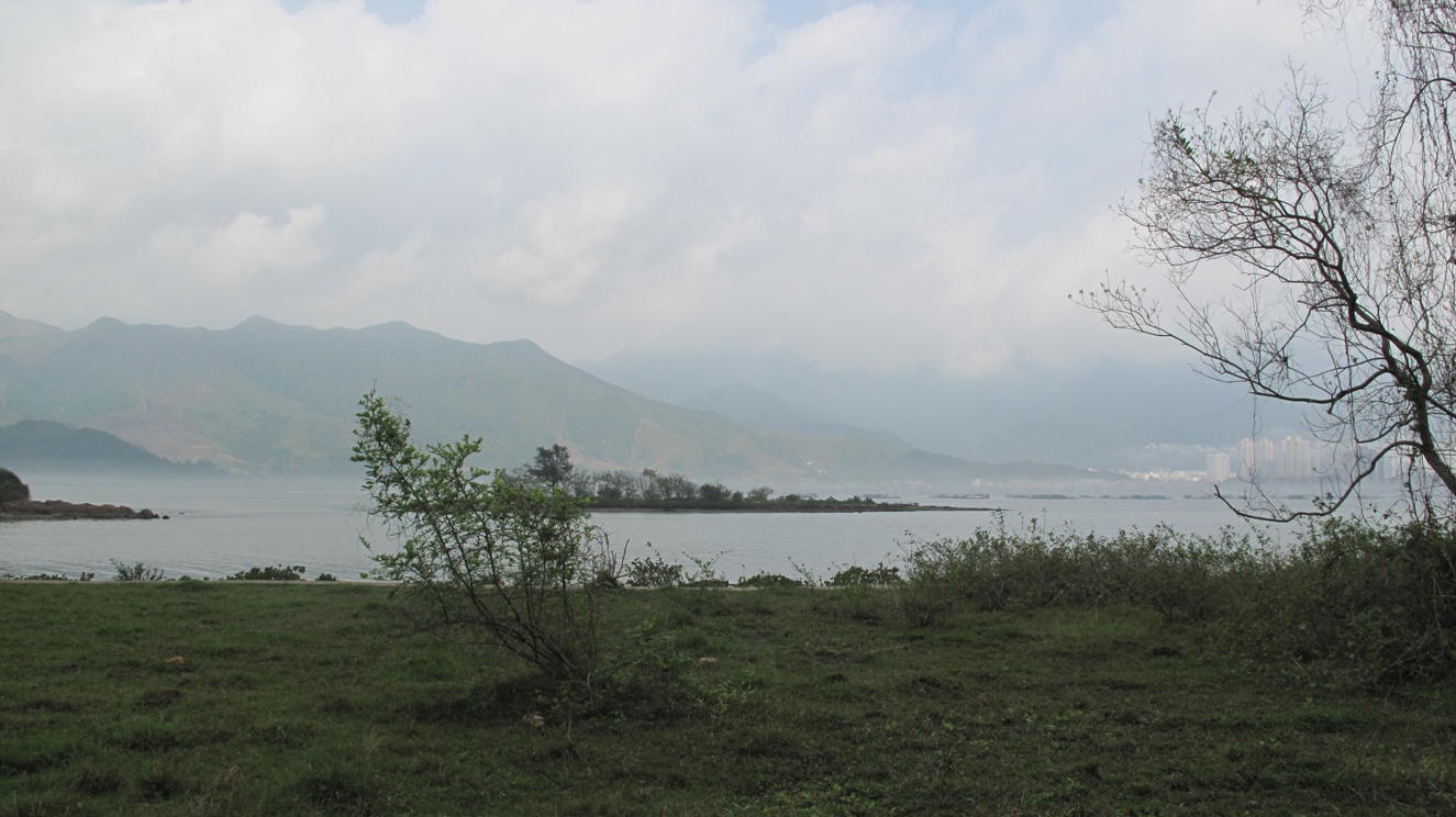 IMG_5717.JPG