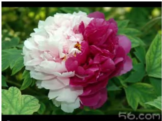 $ZQA3SUASD){MS1A1A552@A.jpg