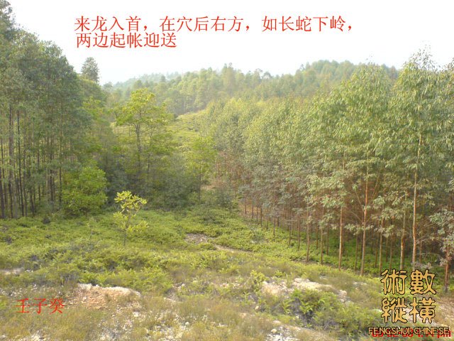 来龙入首.jpg