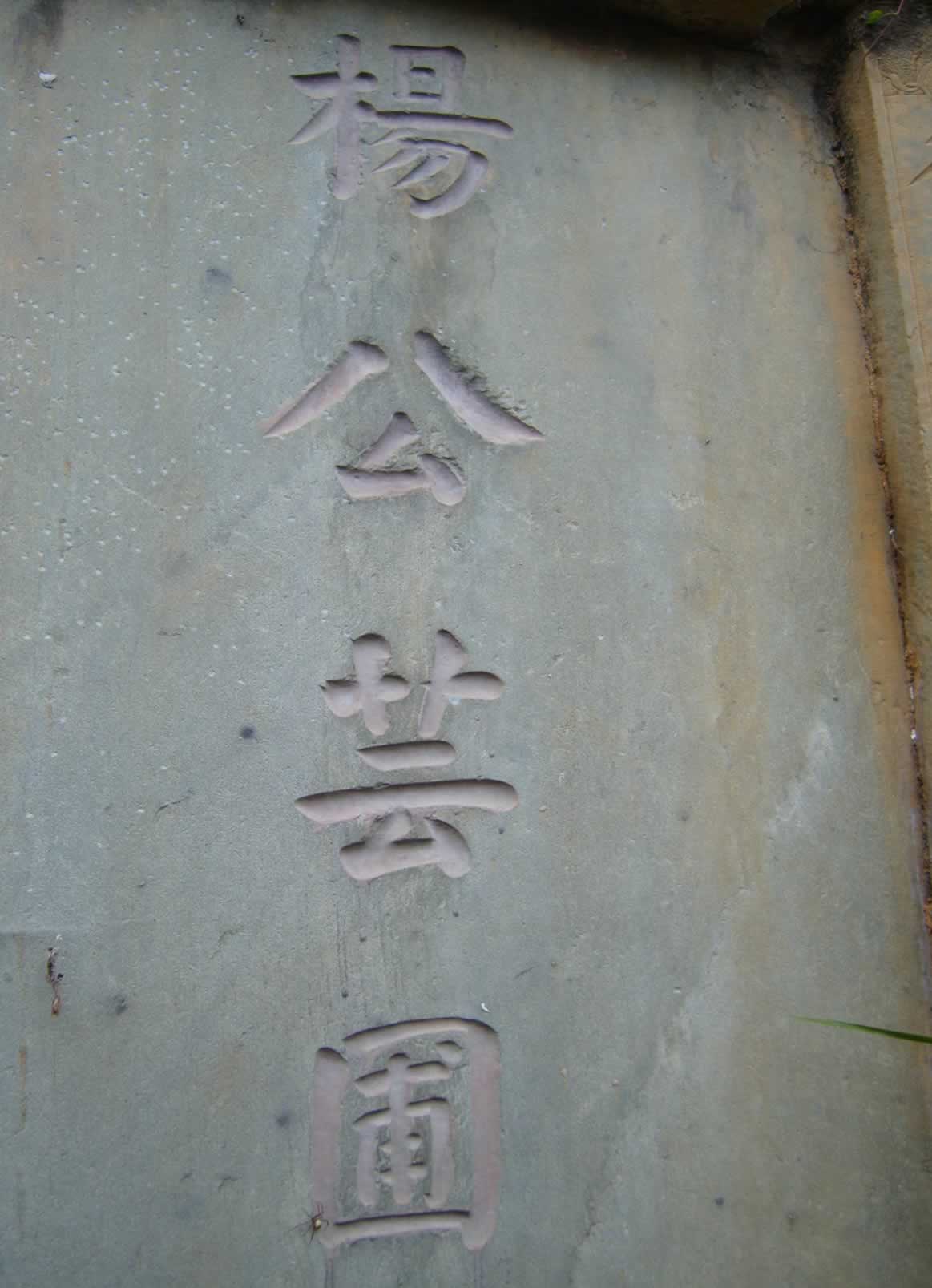 杨芸圃.jpg