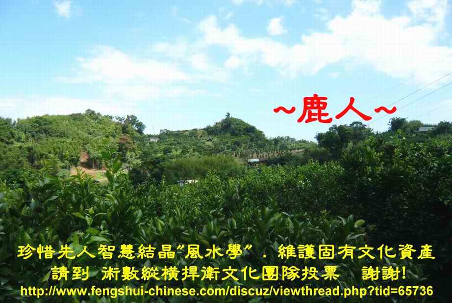 1金鵝孵蛋_遠看穴場照.JPG