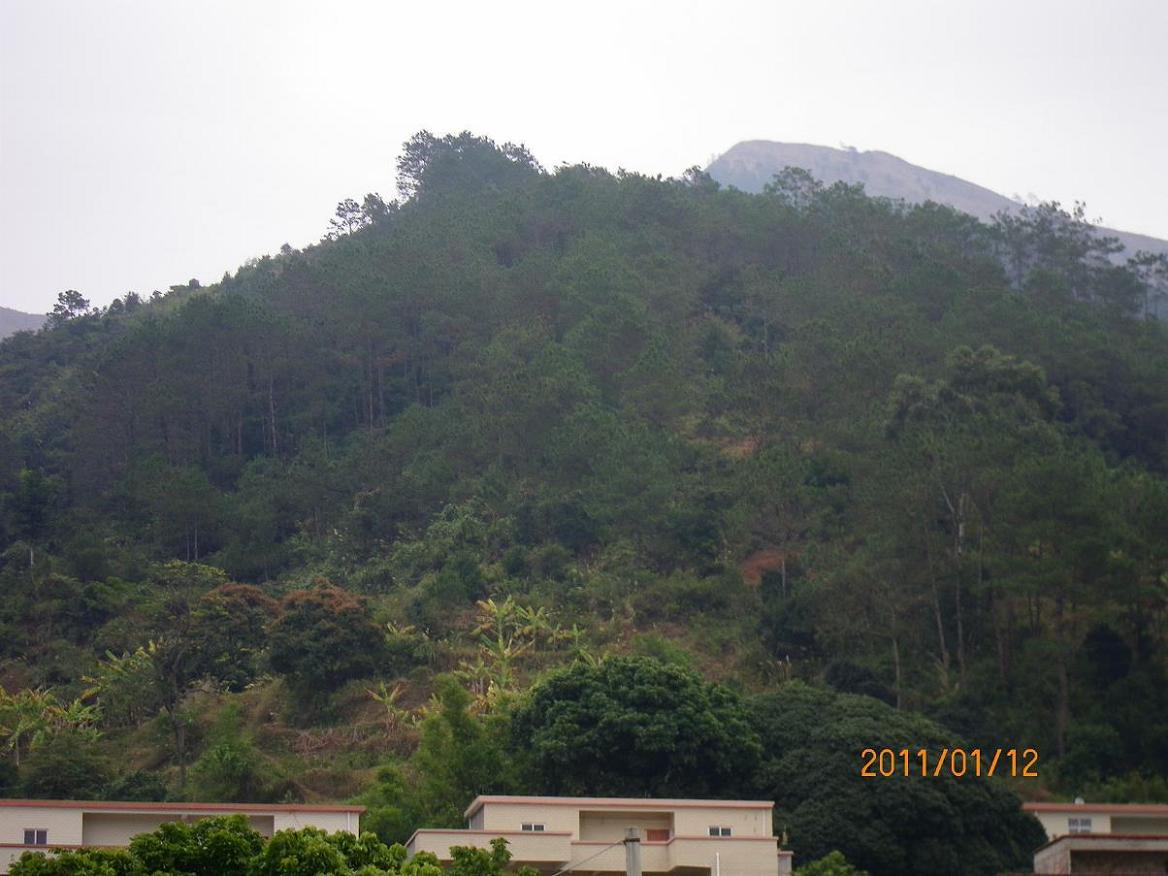 5.峦头拉近照.JPG