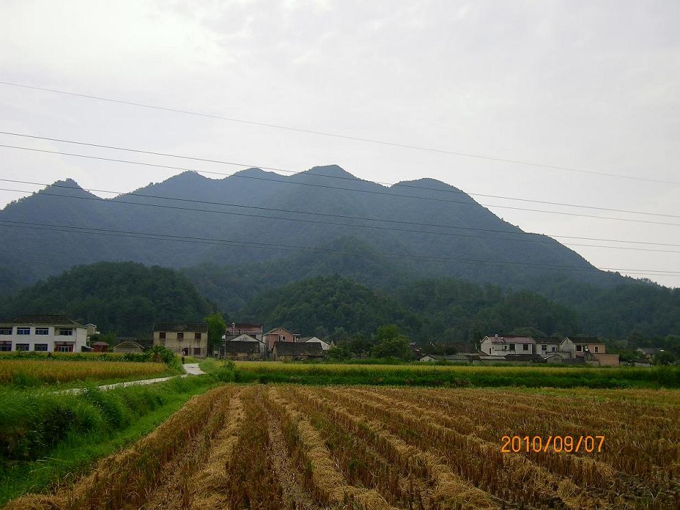 5.好园润的一个蛋（二）.JPG