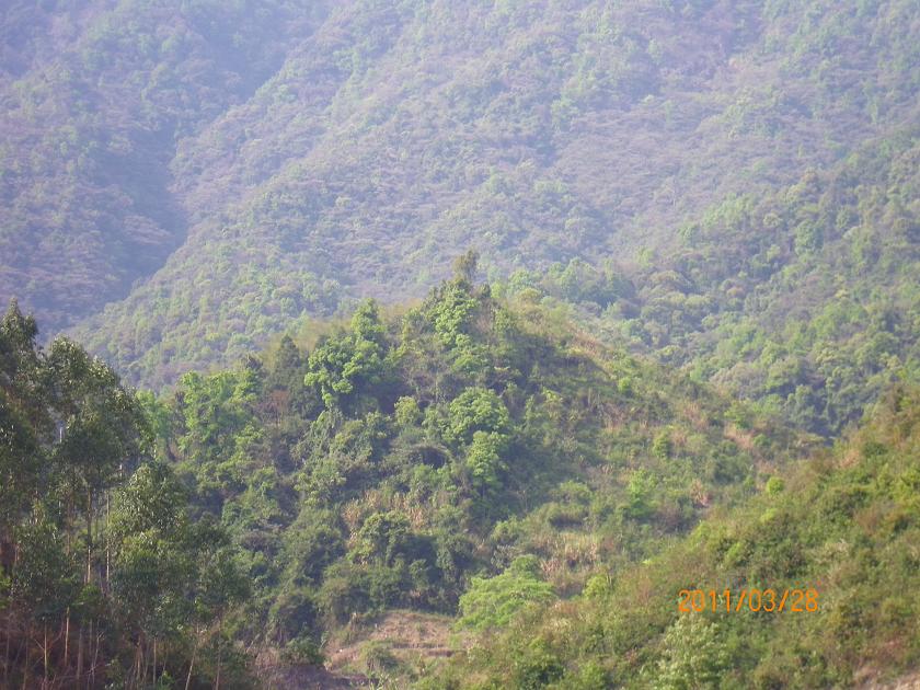 5.案上拉近看峦头照.JPG