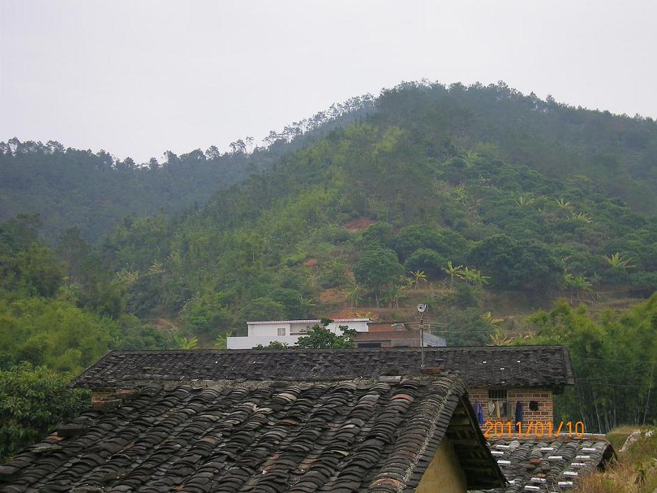 6.近看恋头二.JPG