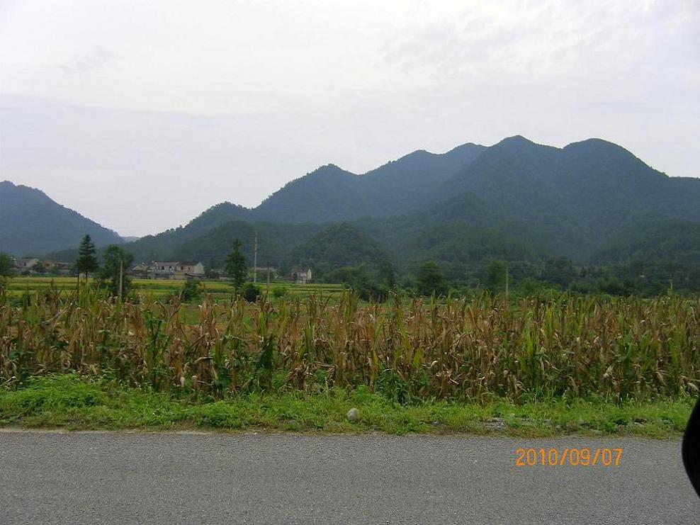 7.侧面欣赏园蛋（一）.JPG