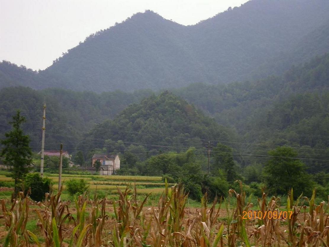 8.侧面欣赏园蛋（二）.JPG