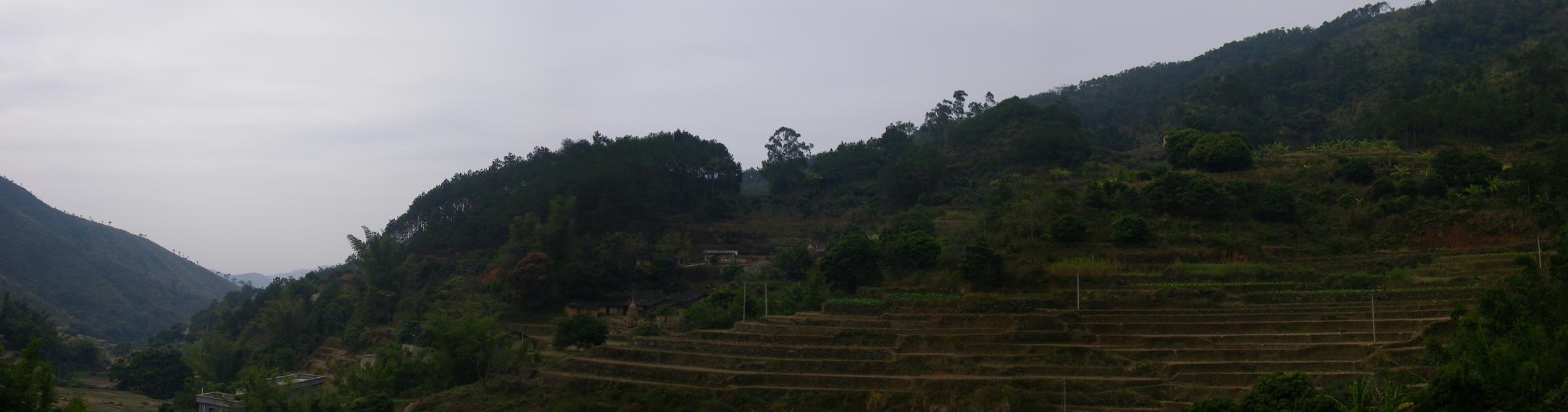 9.右白虎二.JPG