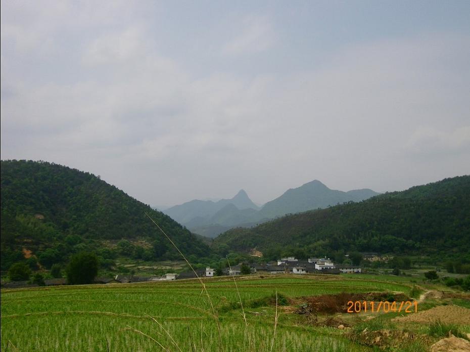 9.前朝近案一.jpg