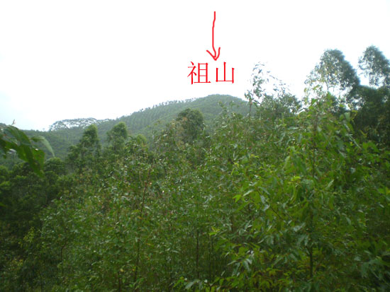 P1010041.jpg