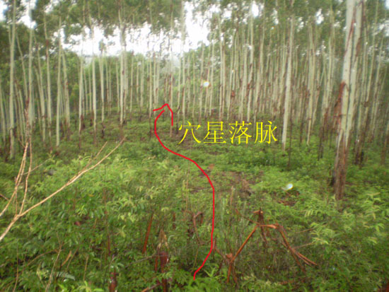 P1010049.jpg